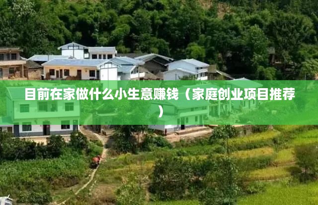 目前在家做什么小生意赚钱（家庭创业项目推荐）