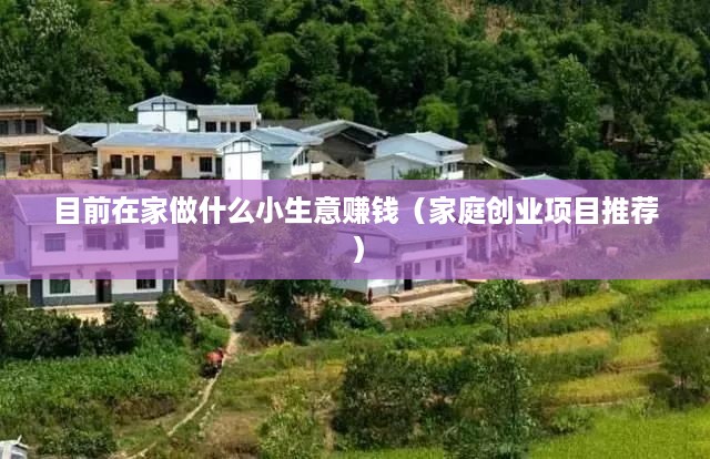 目前在家做什么小生意赚钱（家庭创业项目推荐）