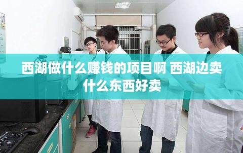 西湖做什么赚钱的项目啊 西湖边卖什么东西好卖