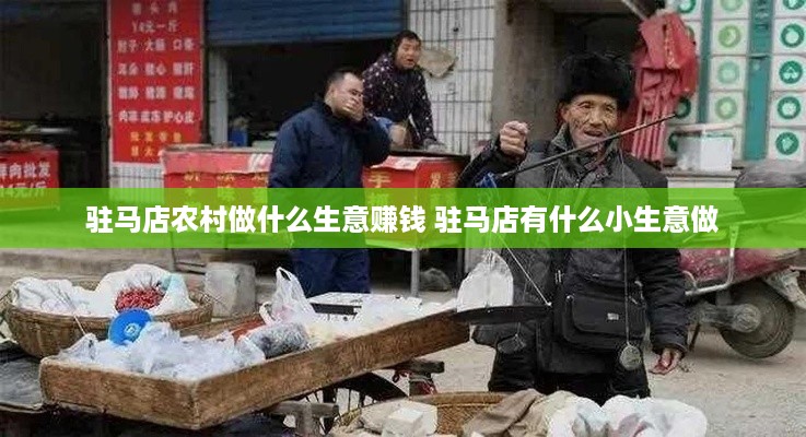 驻马店农村做什么生意赚钱 驻马店有什么小生意做