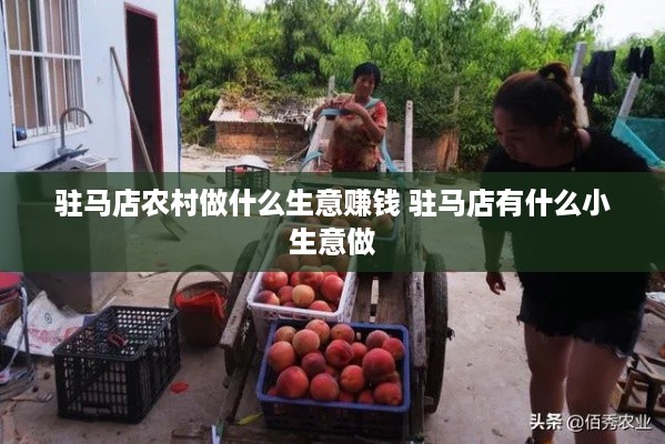 驻马店农村做什么生意赚钱 驻马店有什么小生意做