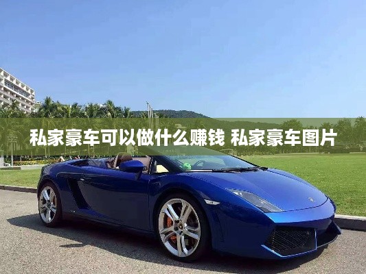 私家豪车可以做什么赚钱 私家豪车图片