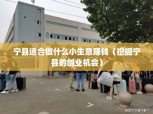 宁县适合做什么小生意赚钱（挖掘宁县的创业机会）