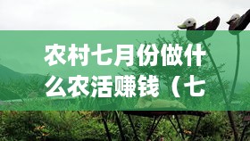 农村七月份做什么农活赚钱（七月农村经济收入途径分析）