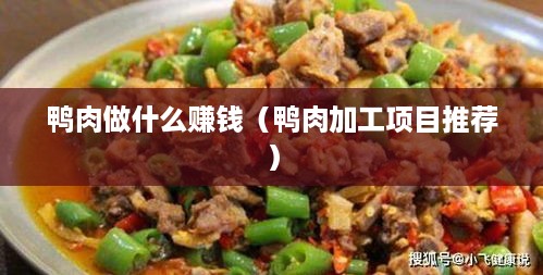 鸭肉做什么赚钱（鸭肉加工项目推荐）