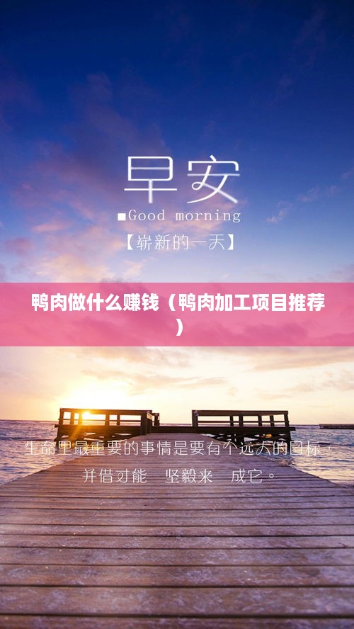 鸭肉做什么赚钱（鸭肉加工项目推荐）