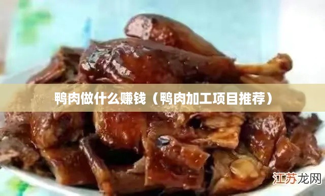 鸭肉做什么赚钱（鸭肉加工项目推荐）