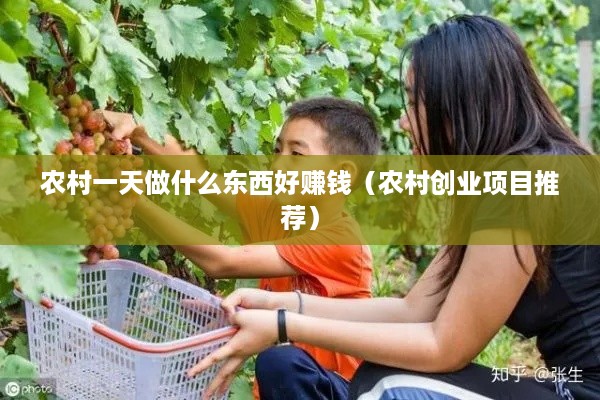 农村一天做什么东西好赚钱（农村创业项目推荐）