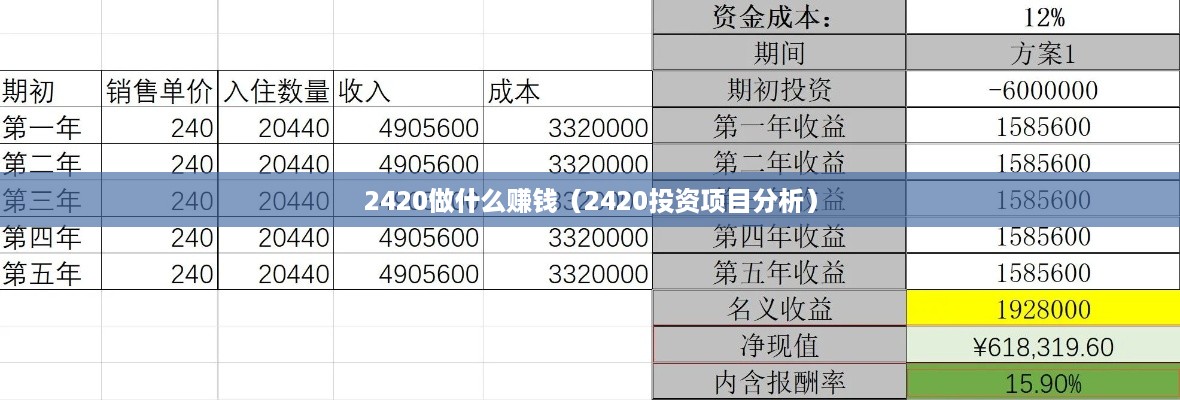 2420做什么赚钱（2420投资项目分析）