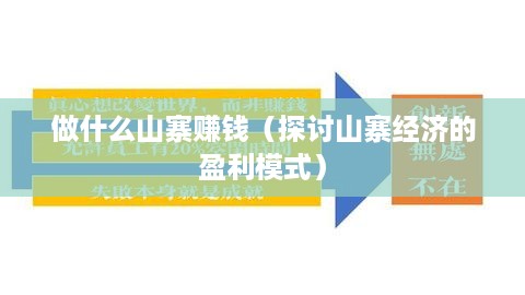 做什么山寨赚钱（探讨山寨经济的盈利模式）