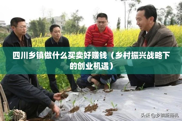 四川乡镇做什么买卖好赚钱（乡村振兴战略下的创业机遇）