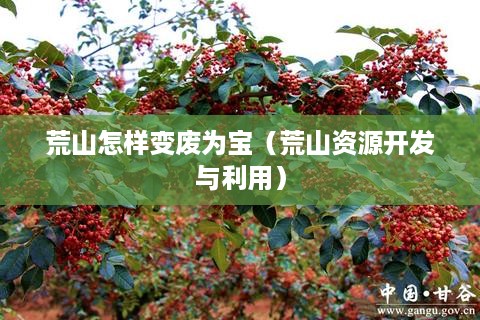 荒山怎样变废为宝（荒山资源开发与利用）