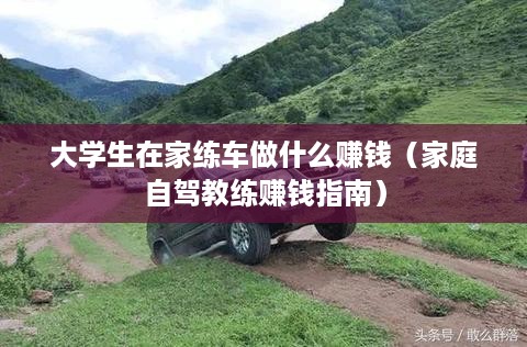 大学生在家练车做什么赚钱（家庭自驾教练赚钱指南）