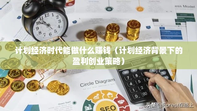 计划经济时代能做什么赚钱（计划经济背景下的盈利创业策略）
