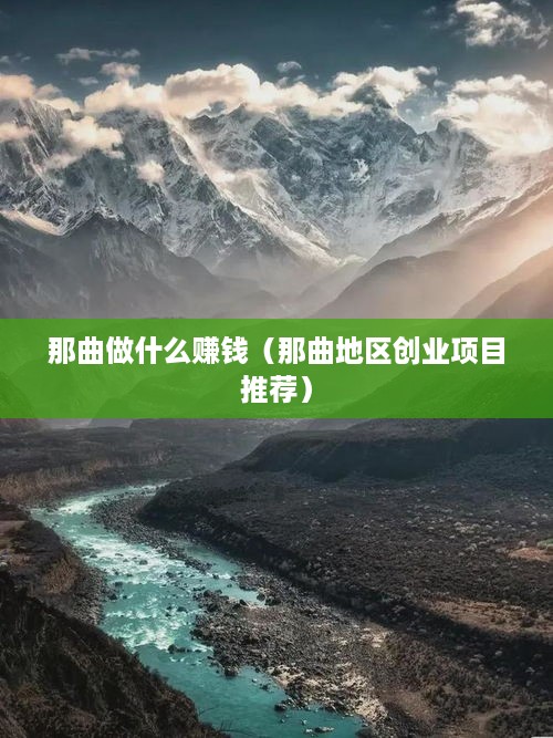 那曲做什么赚钱（那曲地区创业项目推荐）