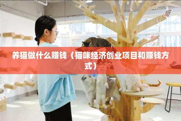 养猫做什么赚钱（猫咪经济创业项目和赚钱方式）