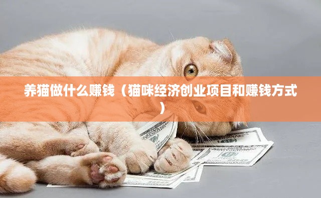 养猫做什么赚钱（猫咪经济创业项目和赚钱方式）