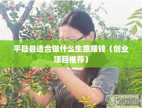 平陆县适合做什么生意赚钱（创业项目推荐）