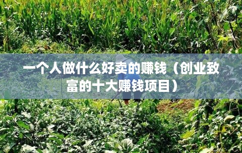 一个人做什么好卖的赚钱（创业致富的十大赚钱项目）