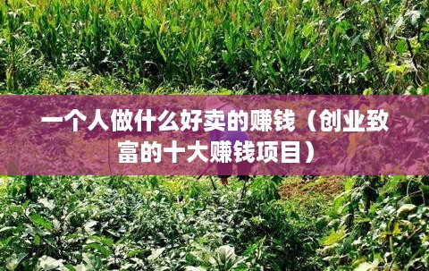 一个人做什么好卖的赚钱（创业致富的十大赚钱项目）