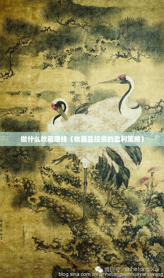 做什么收藏赚钱（收藏品投资的盈利策略）