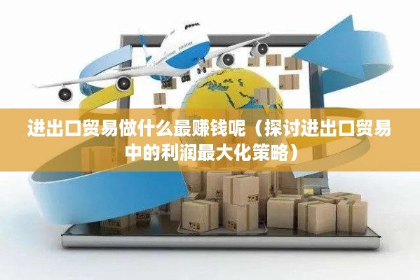 进出口贸易做什么最赚钱呢（探讨进出口贸易中的利润最大化策略）