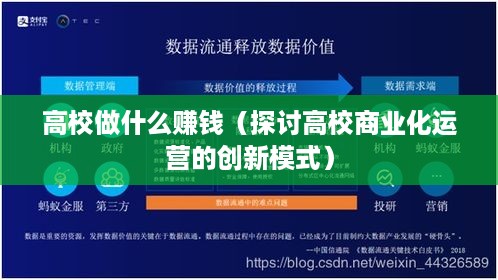 高校做什么赚钱（探讨高校商业化运营的创新模式）