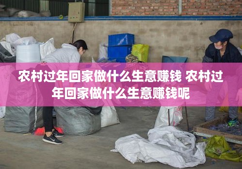 农村过年回家做什么生意赚钱 农村过年回家做什么生意赚钱呢