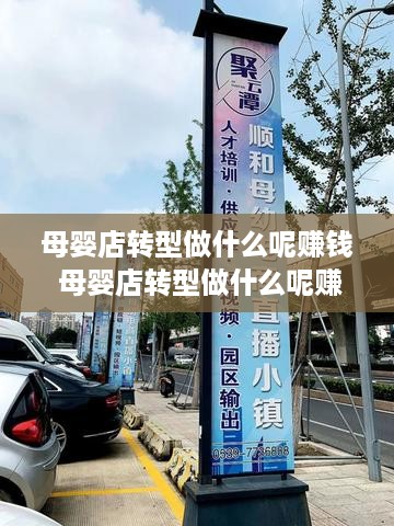 母婴店转型做什么呢赚钱 母婴店转型做什么呢赚钱吗