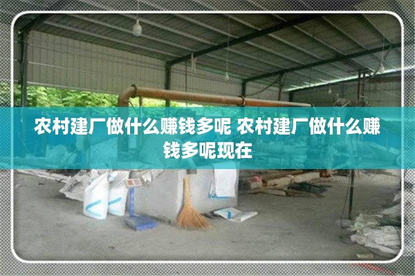 农村建厂做什么赚钱多呢 农村建厂做什么赚钱多呢现在