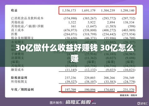 30亿做什么收益好赚钱 30亿怎么赚