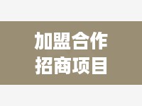 加盟合作招商项目怎么做 招商加盟合作方案