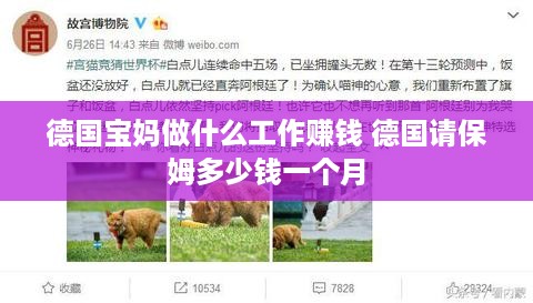 德国宝妈做什么工作赚钱 德国请保姆多少钱一个月