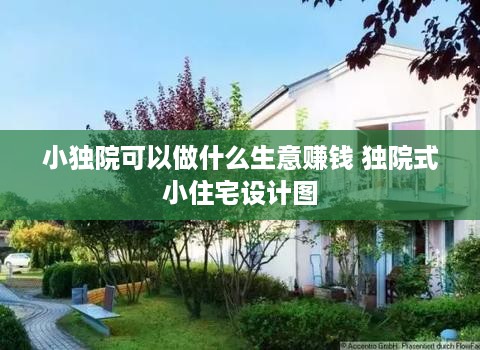 小独院可以做什么生意赚钱 独院式小住宅设计图