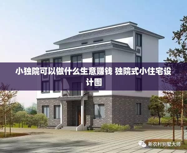小独院可以做什么生意赚钱 独院式小住宅设计图
