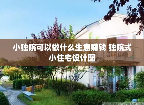 小独院可以做什么生意赚钱 独院式小住宅设计图