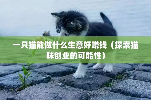一只猫能做什么生意好赚钱（探索猫咪创业的可能性）