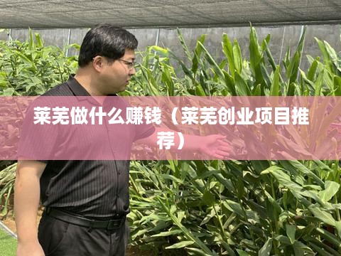 莱芜做什么赚钱（莱芜创业项目推荐）