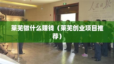 莱芜做什么赚钱（莱芜创业项目推荐）