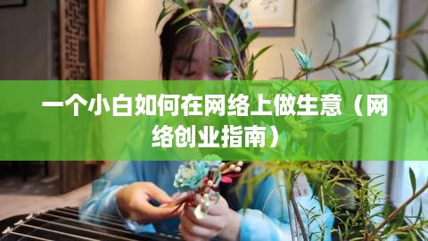 一个小白如何在网络上做生意（网络创业指南）