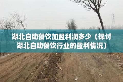 湖北自助餐饮加盟利润多少（探讨湖北自助餐饮行业的盈利情况）