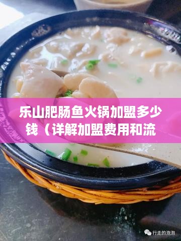 乐山肥肠鱼火锅加盟多少钱（详解加盟费用和流程）