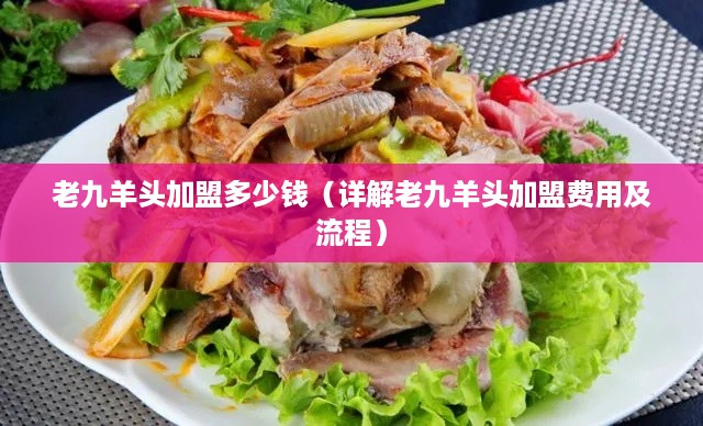 老九羊头加盟多少钱（详解老九羊头加盟费用及流程）