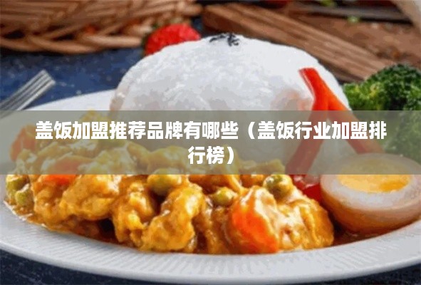 盖饭加盟推荐品牌有哪些（盖饭行业加盟排行榜）
