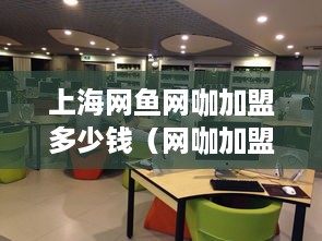 上海网鱼网咖加盟多少钱（网咖加盟费用详解）