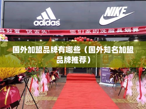 国外加盟品牌有哪些（国外知名加盟品牌推荐）