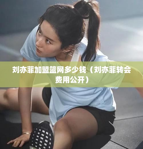 刘亦菲加盟篮网多少钱（刘亦菲转会费用公开）