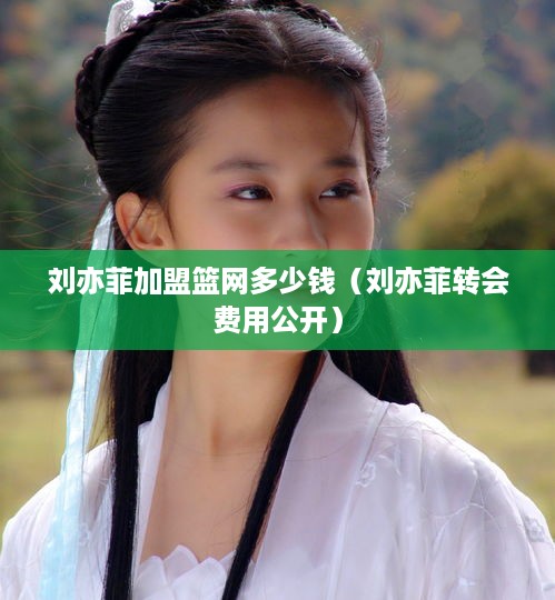 刘亦菲加盟篮网多少钱（刘亦菲转会费用公开）