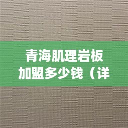 青海肌理岩板加盟多少钱（详解青海肌理岩板加盟费用）