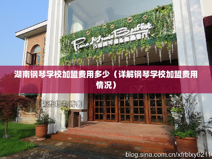 湖南钢琴学校加盟费用多少（详解钢琴学校加盟费用情况）